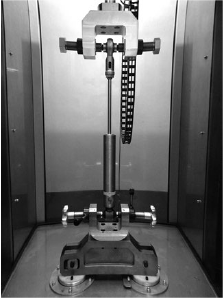 耐久試験の様子