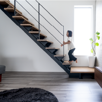 腐らない木イメージ写真